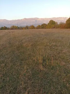 Prostrani travnati plac sa drvećem i planinama u pozadini. - image 2