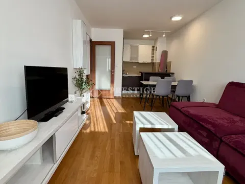 Rent, one bedroom apartment, 43m², Tološka šuma, Podgorica - image 2