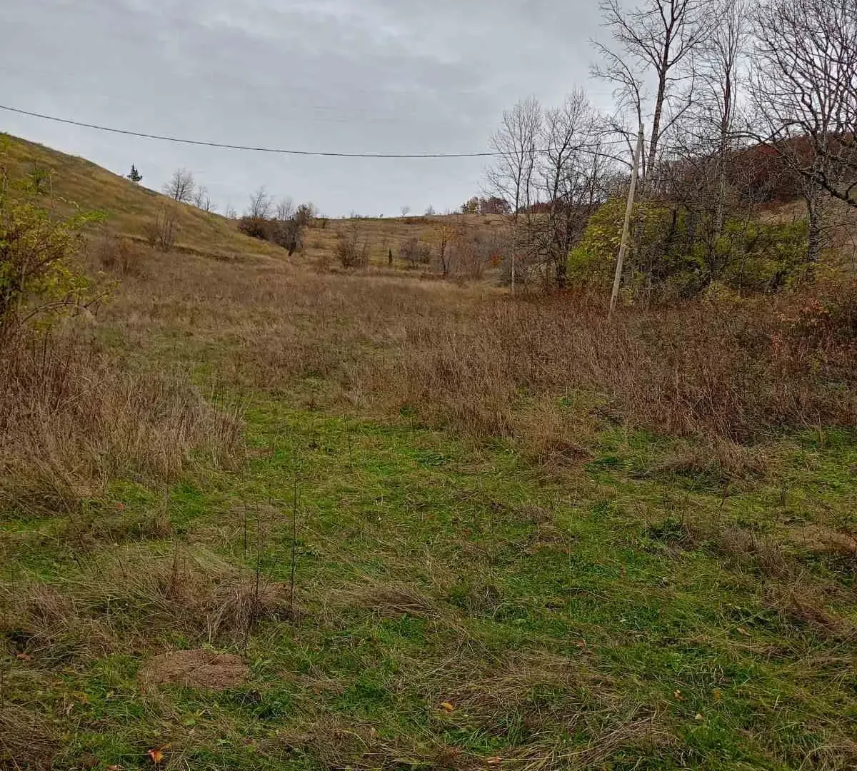 Prodaja, plac, 5800m², Šavnik, Crna Gora
