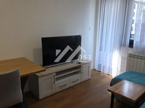 Izdavanje, jednosoban stan, 38m², Rotkvarija, Novi Sad Sve Podlokacije - image 3
