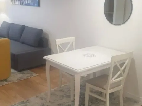 Izdavanje, jednosoban stan, 43m², Central Point, Podgorica - image 6