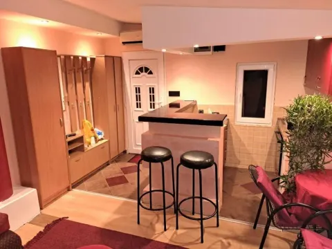 Izdavanje, jednosoban stan, 35m², Vukov Spomenik, Zvezdara Sve Podlokacije - image 6