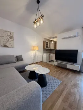 Rent, studio apartment, 28m², Zagorič, Podgorica - image 1