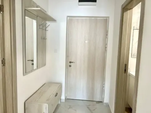 Izdavanje, jednosoban stan, 45m², Ljubović, Podgorica - image 8