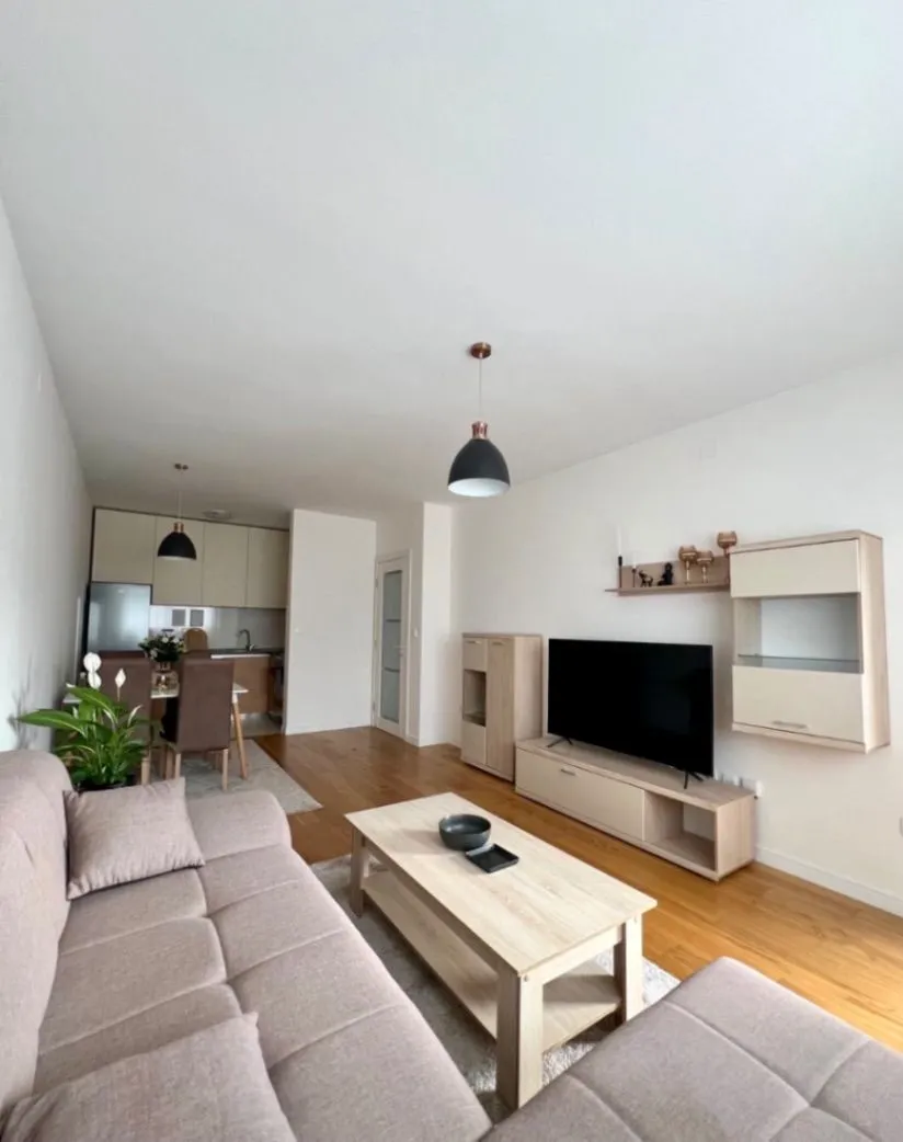 Izdavanje, jednosoban stan, 49m², Central Point, Podgorica