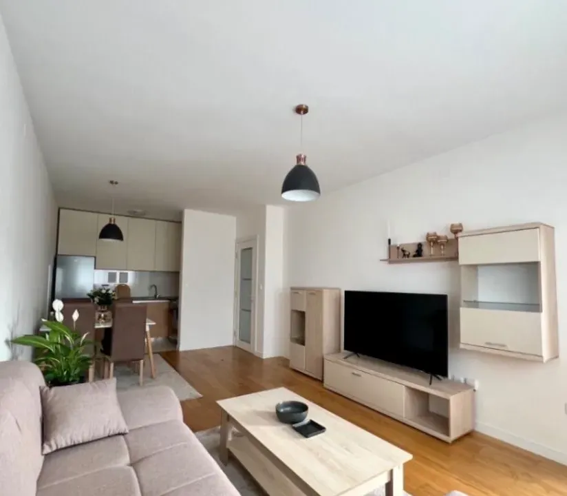 Izdavanje, jednosoban stan, 49m², Central Point, Podgorica