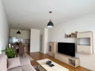 Izdavanje, jednosoban stan, 49m², Central Point, Podgorica - image 1