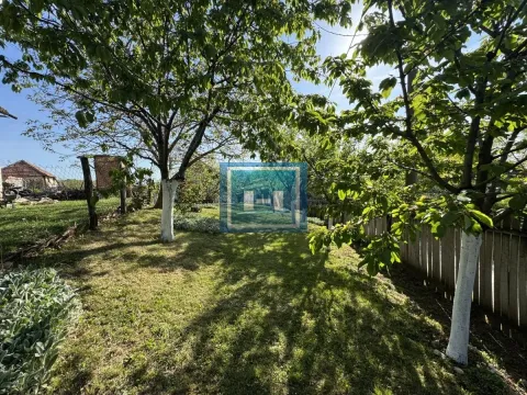 Sale, house, 39m², Crnče, Jagodina - image 10