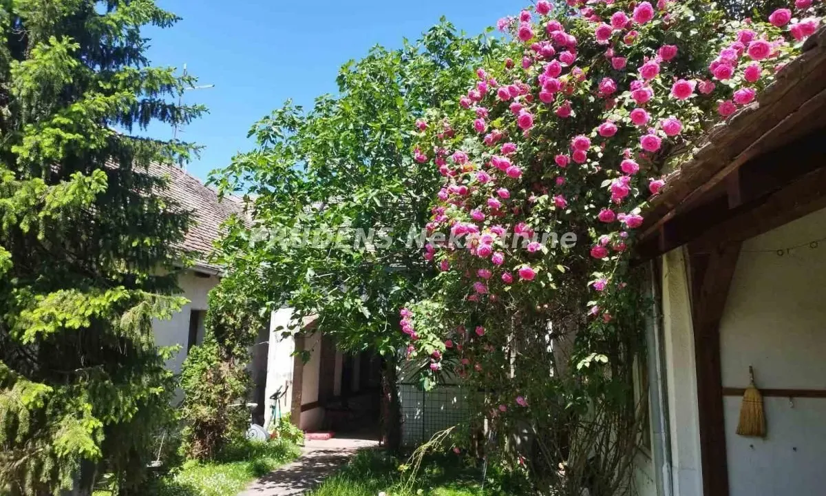 Rent, two bedroom apartment, 80m², Boljevci, Surčin
