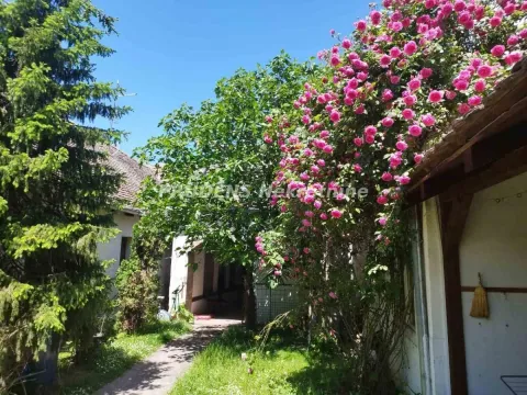 Stan in Boljevci