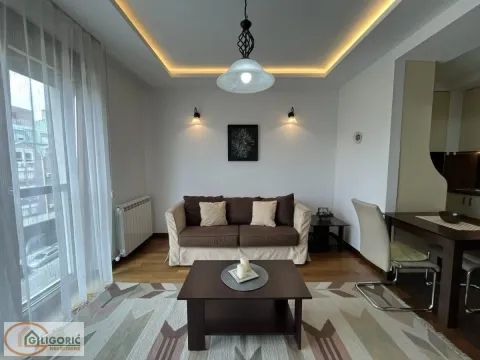 Izdavanje, dvosoban stan, 45m², Zvezdara Sve Podlokacije, Beograd - image 3