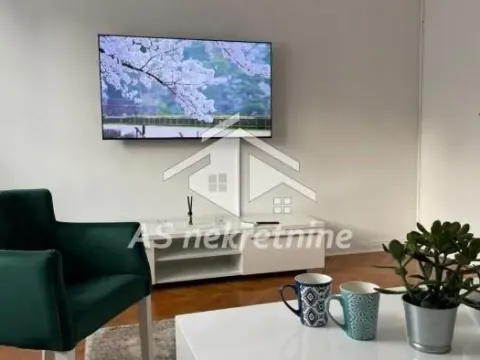 Izdavanje, dvosoban stan, 56m², Stari Grad, Beograd - image 2