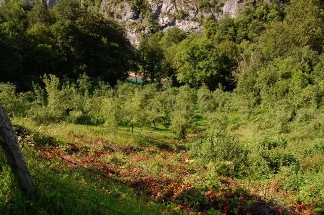 Prodaja, plac, 45500m², Plužine, Crna Gora
