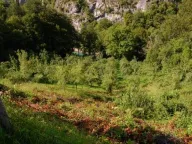 Sale, land lot, 45500m², Plužine, Crna Gora - image 3