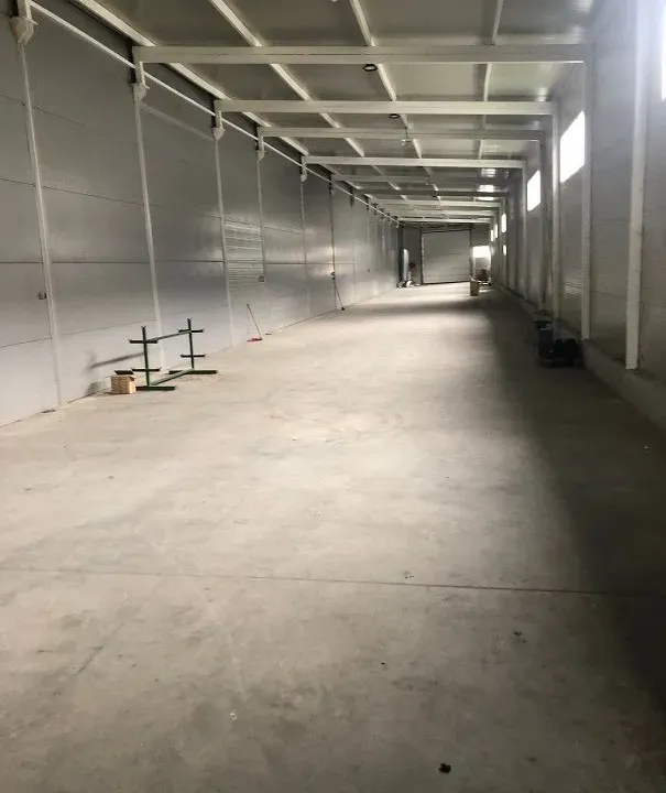 Izdavanje, poslovni prostor, 500m², Zemun Sve Podlokacije, Beograd