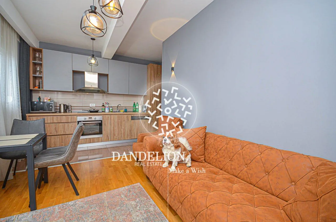 Rent, one bedroom apartment, 59m², Central Point, Podgorica
