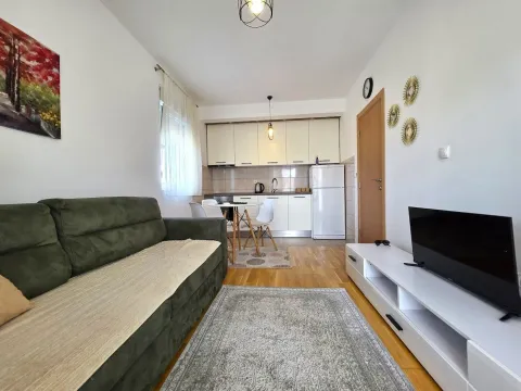 Rent, apartment, 33m², Zabjelo, Podgorica - image 3