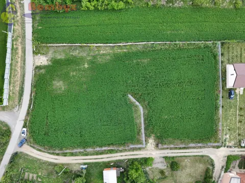 Prodaja, plac, 1100m², Rakovac, Novi Sad Sve Podlokacije - image 4