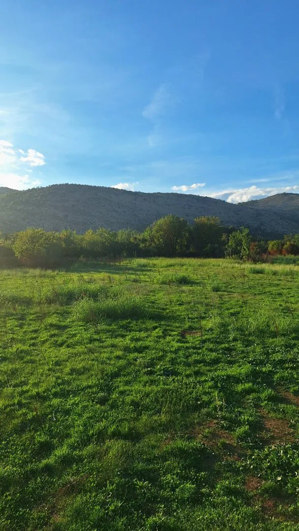 Prodaja, plac, 9569m², Botun, Podgorica