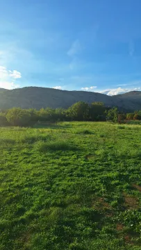 Prodaja, plac, 9569m², Botun, Podgorica - image 3