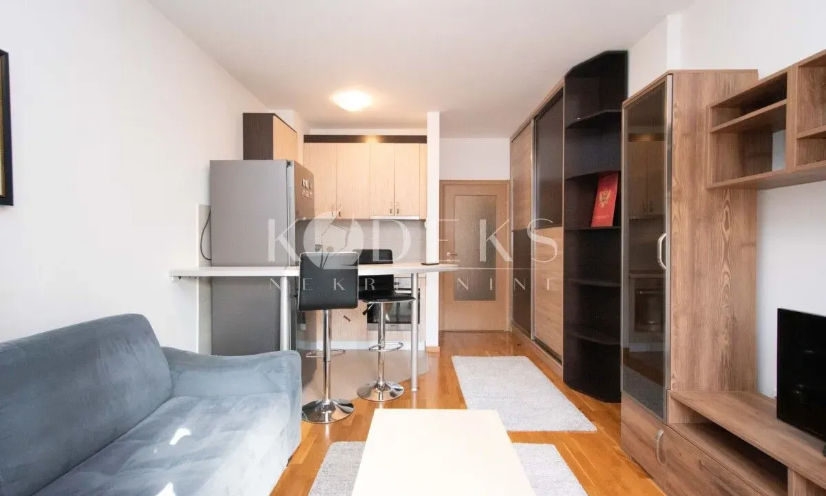 Izdavanje, garsonjera, 30m², Tuški Put, Podgorica