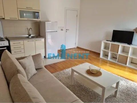 Izdavanje, dvosoban stan, 54m², Tašmajdan, Palilula Sve Podlokacije - image 3