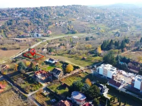 Sale, land lot, 1300m², Sremska Kamenica, Petrovaradin - image 4