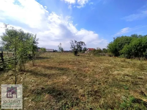 Prodaja, plac, 3600m², Trlić, Ub - image 2