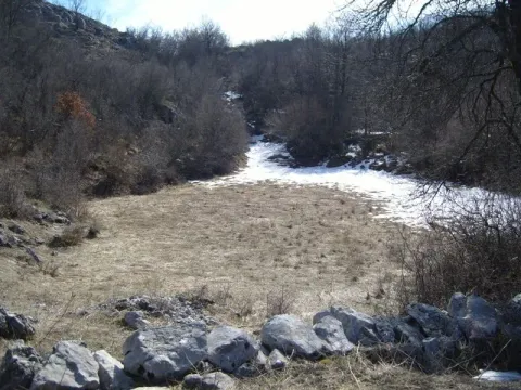 Prodaja, plac, 17159m², Cetinje, Crna Gora - image 7