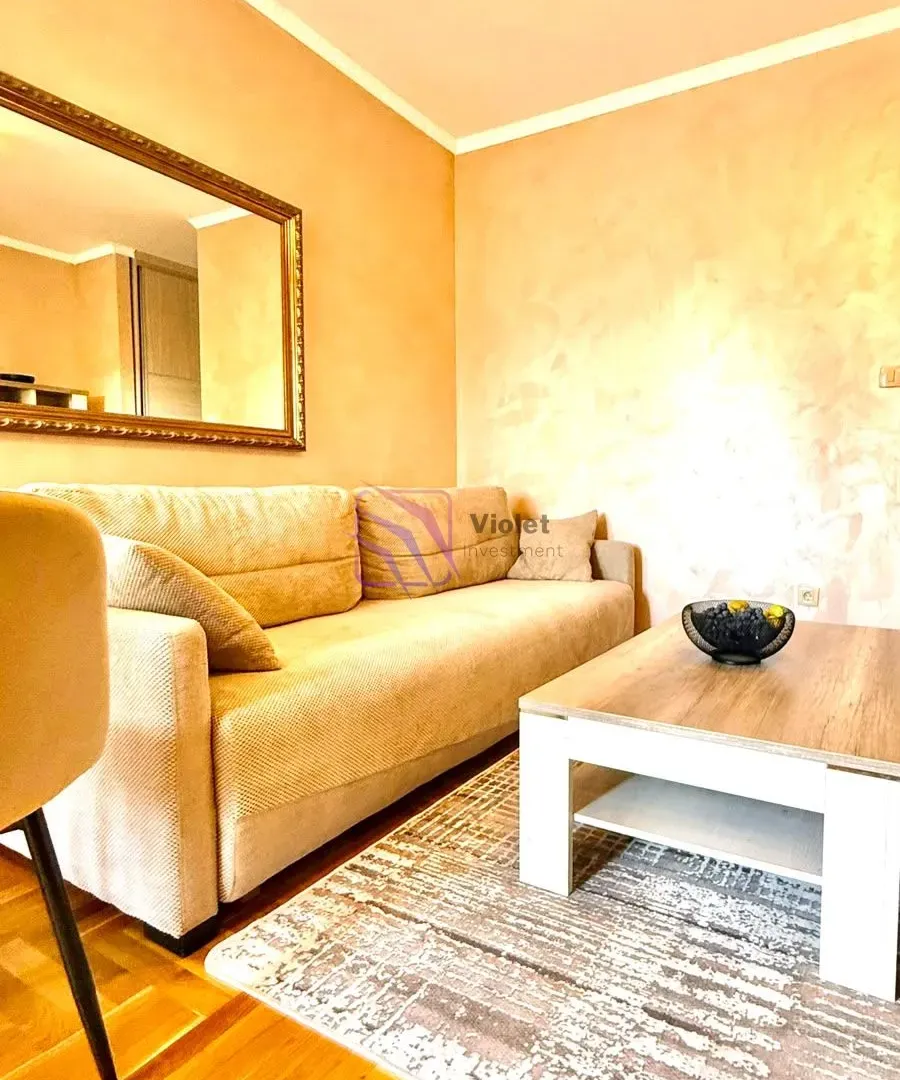 Rent, one bedroom apartment, 30m², Tuški Put, Podgorica