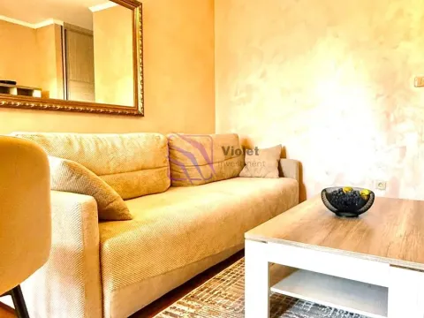 Rent, one bedroom apartment, 30m², Tuški Put, Podgorica - image 5