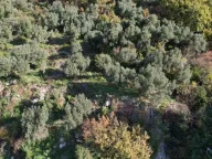 Sale, land lot, 1320m², Petrovac, Budva - image 14