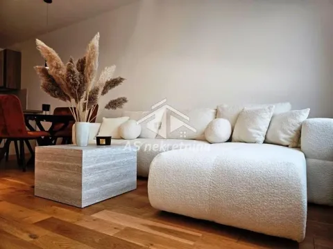 Izdavanje, dvosoban stan, 55m², Hala Pionir, Palilula Sve Podlokacije - image 1