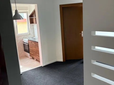 Izdavanje, stan, 39m², Stari Aerodrom, Podgorica - image 11