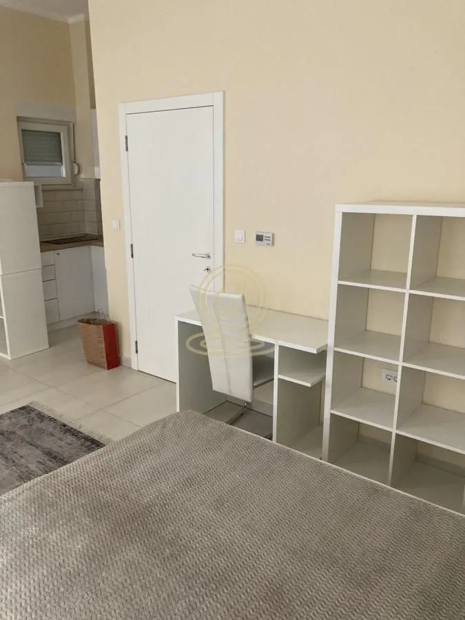 Rent, one bedroom apartment, 28m², Novi Sad, Srbija