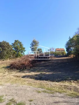 Pogled na plac sa rastinjem i drvećem u pozadini. - image 4