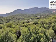 Sale, land lot, 34000m², Mokrine, Herceg Novi - image 4