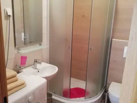 Rent, one bedroom apartment, 34m², Salajka, Novi Sad Sve Podlokacije - image 9