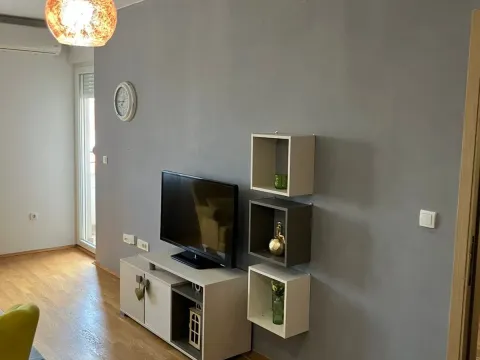 Izdavanje, jednosoban stan, 50m², Tuški Put, Podgorica - image 3