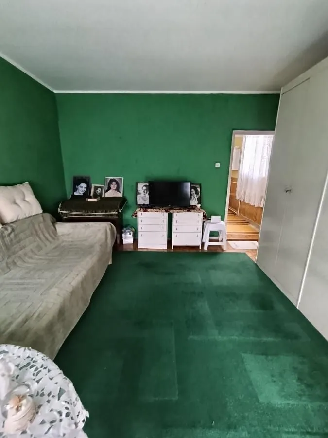 Dnevna soba sa zelenim zidovima, sofom i televizorom.