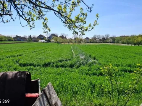 Prodaja, kuća, 248m², Dobanovci, Surčin - image 16