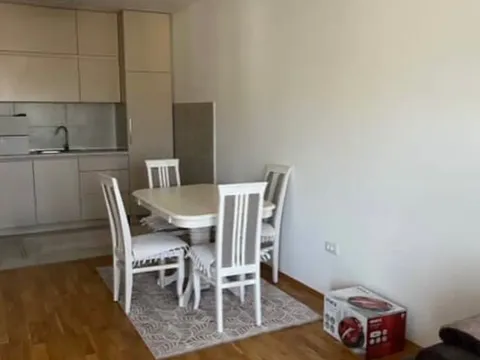 Izdavanje, jednosoban stan, 50m², Stari Aerodrom, Podgorica - image 4