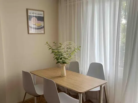 Izdavanje, trosoban stan, 89m², Vračar Sve Podlokacije, Beograd - image 6