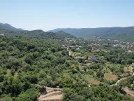 Sale, land lot, 3000m², Radanovići, Kotor - image 9