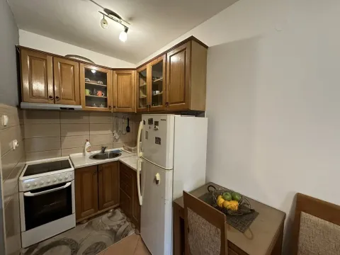 Izdavanje, jednosoban stan, 38m², Tuški Put, Podgorica - image 4