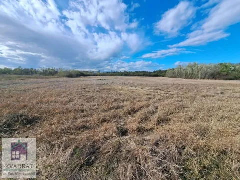 Prodaja, plac, 358m², Obrenovac, Beograd - image 1