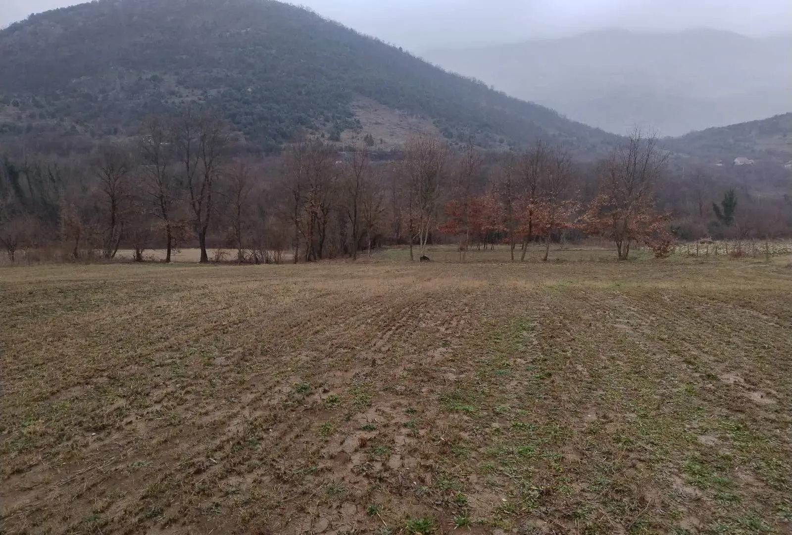 Prodaja, plac, 7290m², Orja Luka, Danilovgrad