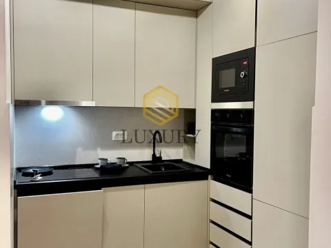 Izdavanje, jednosoban stan, 40m², Central Point, Podgorica - image 3