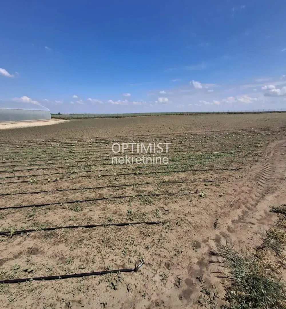 Prodaja, plac, 15000m², Belegiš, Stara Pazova