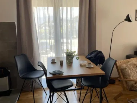 Izdavanje, jednosoban stan, 46m², Zabjelo, Podgorica - image 8